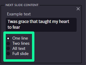 Conf Monitor - Next Slide Content Options